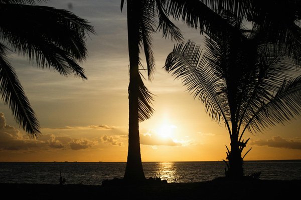 Comment organiser une expédition de plongée en apnée dans les récifs coralliens de la Grande Barrière de corail, Australie : équipements et conseils ?