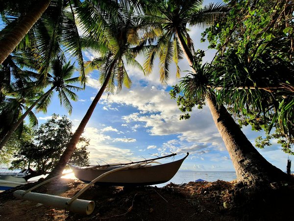 Quelles croisières offrent des excursions pour explorer les canyons et déserts en Jordanie?