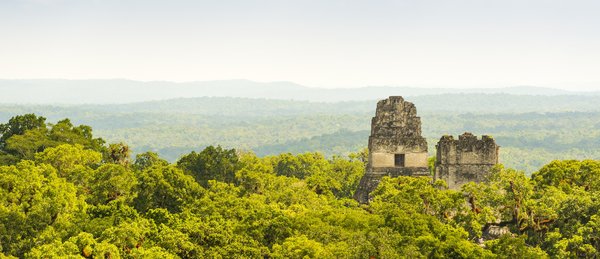 Comment organiser une visite des ruines Mayas de Tikal au Guatemala ?